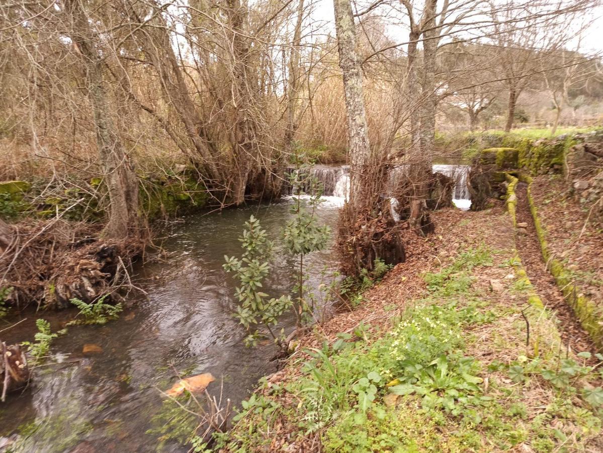 Porto D'Abrigo - Alojamento Local Sardoal Eksteriør bilde